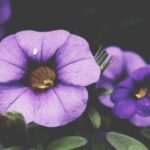 Why Every Child Needs Daily Time Outdoors