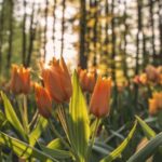Teaching Emotional Intelligence: Why It Matters More Than You Think
